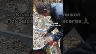 Корм собакам #helpanimals #помощьживотным #приют #dogshelter #животные #собака #благотворительность