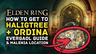 Elden Ring | How to Get to Haligtree + Ordinia Evergaol Guide & Malenia Boss Location Guide