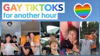  this gay tiktok video has 213178 views, 382 comments and 5462 likes ‍️