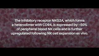 Disrupting NKG2A:HLA-E Interactions for Enhanced Anti-Cancer Immunity | Oncotarget