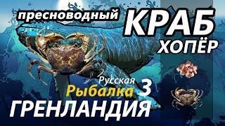 Пресноводный краб Хопёр / РР3 [ Русская рыбалка 3.9 Гренландия