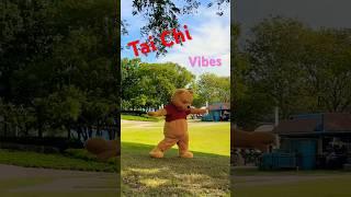 Winnie The Pooh doing Tai Chi #shorts #funnyvideo #wow