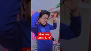 मैं बचाऊंगा कोबरा को  #funny #youtubeshorts #shortvideo #memes #funnycomedy #trending #viralvideo