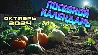 Агрогороскоп Октябрь 2024: Лунный посевной календарь для сада и огорода.