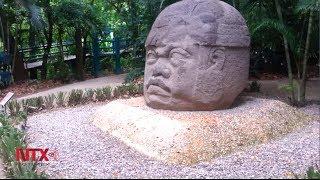 Parque Museo La Venta, hogar de las imponentes cabezas olmecas