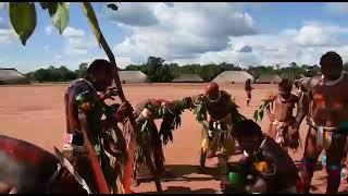 patrimônio cultural Waurá Xingu - dança dos peixes