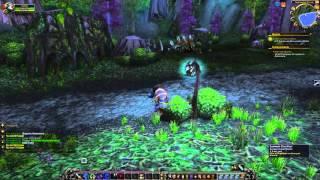 Ashenvale Outrunners Quest Playthrough - Ashenvale