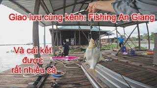 Câu cá Mỹ Hoà Hưng - An Giang | Giao lưu câu cá cùng Fishing An Giang