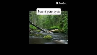 Squint your eyes #nature #squintyoureyes #trick