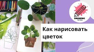 Как нарисовать комнатное растение. Рисование для детей.