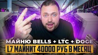 Bells + Doge + LTC = Майню Тройничок на асиках под Scrypt