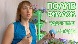 Полив фиалок | Методы | Удобрения | Советы по уходу за фиалками #01 |Мои фиалки