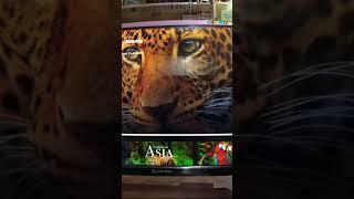 #Shorts  Candes CTPL24EFN 24” (60cm) Frameless Series HD Ready LED Smart TV Dimensions and Weight