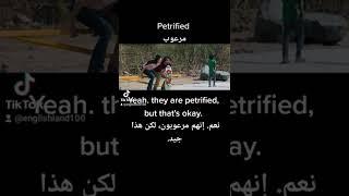 petrified meaning