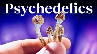 24 huge questions about psychedelics | Dr. Matthew Johnson