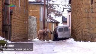 сёла Дагестана с. Апши Буйнакский район.