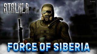 DAYZ PVE STALKER | ПРОЕКТ FORCE OF SIBERIA PVE | ПЕРВЫЙ ДЕНЬ #1