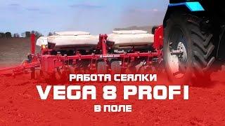 Сеялка пропашная VEGA 8 PROFI   - Работа сеялки в поле (CHERVONA ZIRKA)