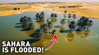 Sahara Desert Was Dry for 50 Years, Now It's Flooded! How Come?