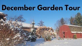 December Garden Tour