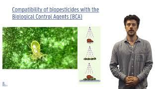 CropFit Services: Biopesticides and Biological Control Agents