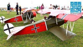 2X FOKKER D.VI RC FLIGHT INTERVIEW GREGOR TREML & HORST KEUL EUROFLUGTAG AERO CLUB RHEIDT 2015