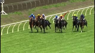 Sir Patrick Hogan Stakes G2 | About Time