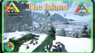 Megatharium  - ARK Survival Evolved - SOLO - The Island 2024 (EP30)