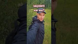 #тихая_охота #пантерный #грибы