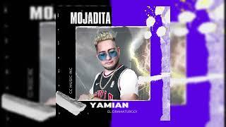 Yamian "El Dramaturgo" - Mojadita  Prod. Maestro OnLine