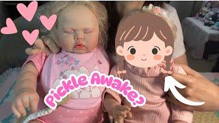 Box Opening Pickle Awake? Reborn Doll Ellie - AliExpress