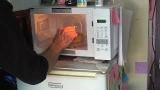 Xenon-Mercury Plasma Globe in the Microwave Oven!  Don't try this at home!