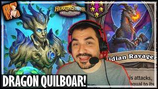 DRAGON QUILBOAR IS THIS STRONG?! - Hearthstone Battlegrounds