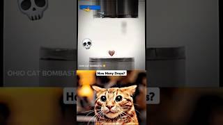 "SATISFIED SHORTS 2025"  #trending #latest #popular |4K SHORTS | OHIO CAT BOMBASTIC