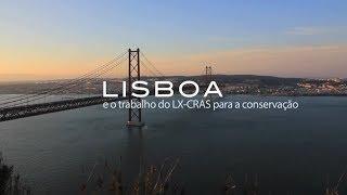 Lisboa e o trabalho do LxCRAS para a conservação