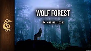 Wolf Forest | ASMR Ambience | 1 Hour #DnD #RPG