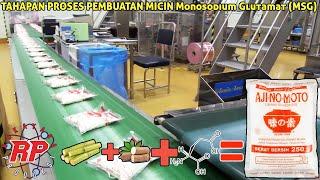 How it's made MSG Monosodium Glutamate | the basic ingredient MSG UMAMMI