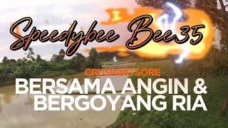 NEKAT CRUSHING SORE BERSAMA ANGIN & BERGOYANG RIA KESANA KEMARI #speedybee #fpv  #runcamthumb2