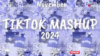 Tiktok Mashup November 2024 (Not Clean)