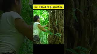 Building a Bamboo Shelter | Bushcraft Skills #Bushcraft #SurvivalSkills #EcoBuilding