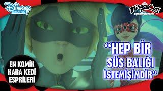 EN KOMİK 8 KARA KEDİ ESPRİSİ  | Mucize: Uğur Böceği ile Kara Kedi | Disney Channel TR