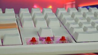 Ducky One 3 RGB Cherry MX Red | The Ultimate Mechanical Keyboard?