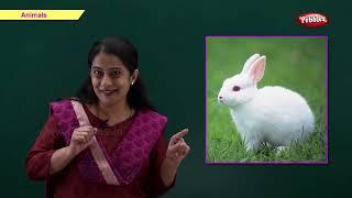 Pre School Lessons | LKG Lessons | Pebbles Kids Learning