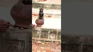 monkey rani ki funny video #shorts #viral #video