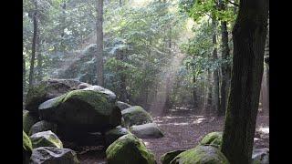 Monumentale Landschaften - Jungsteinzeitliche Grabenwerke und Megalithgräber Westfalens