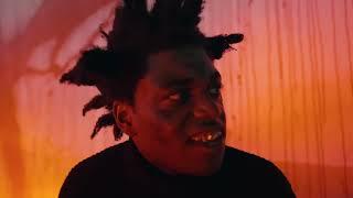 Kodak Black - Vulnerable (Free Cool) [Official Music Video]