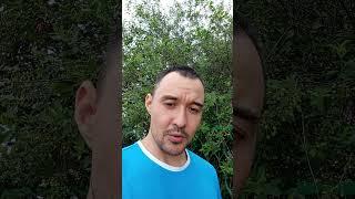  Как сделать собрание эффективным #психология #взаимодействие #семья #работа #бизнес #личность