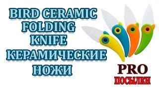 Посылка из Китая. Керамический нож птичка. Bird Ceramic Folding Knife (TinyDeal)