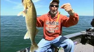 About Walleyes & Spinner Rigs