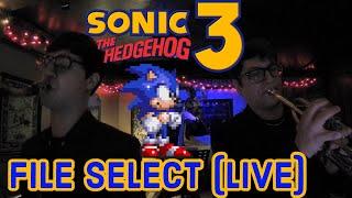 Sonic 3 | Data Select | Live Cover | VGM Collective